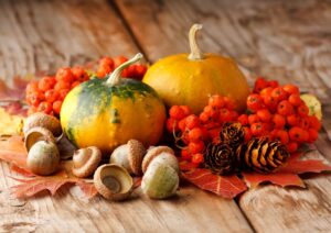 Autumn Bounty